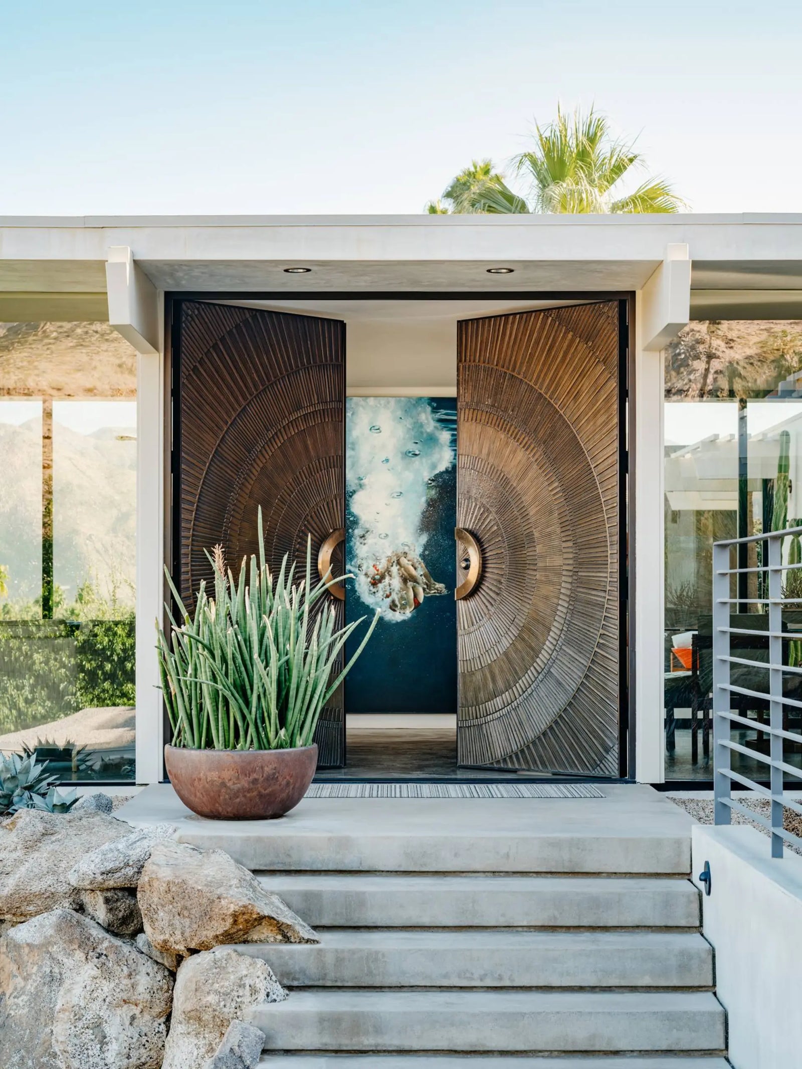 Modern house entrance with decorative door and potted plant