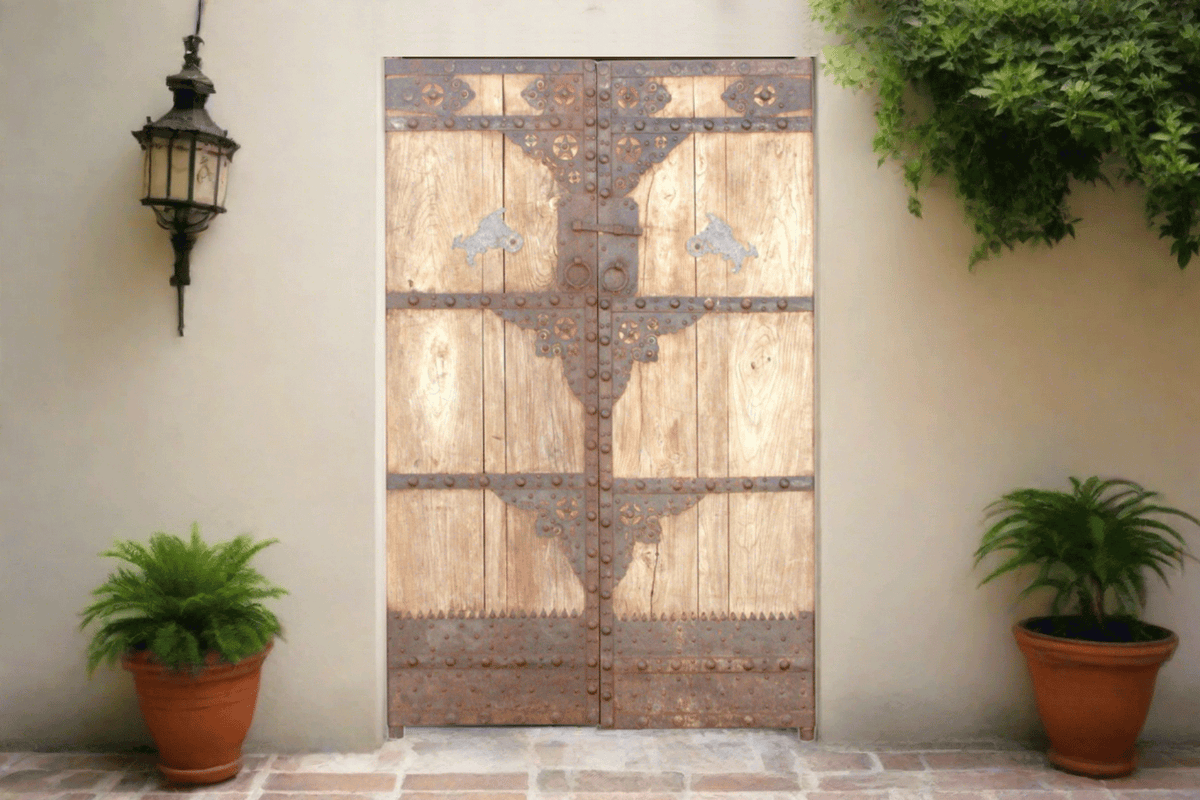 Grand Early 19th Century Asian Rustic Chateau Doors