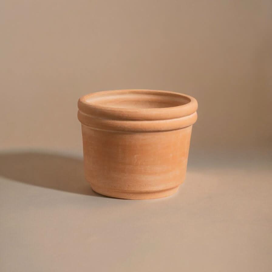 Felipe Large Terracotta Planter - Cultheir