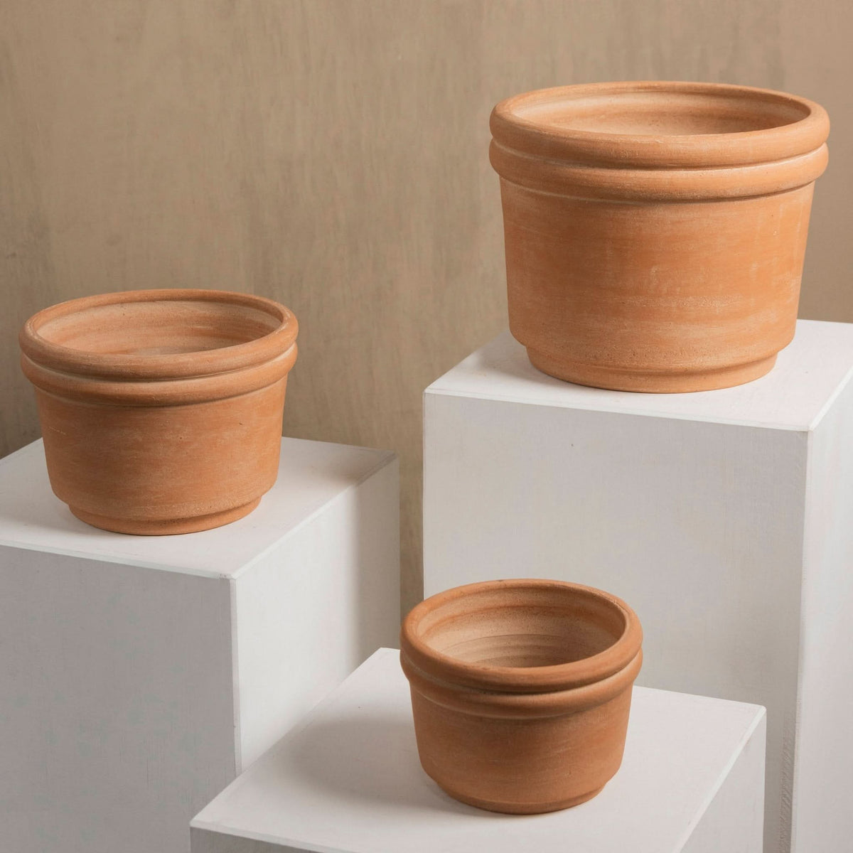 Felipe Medium Terracotta Planter - Cultheir