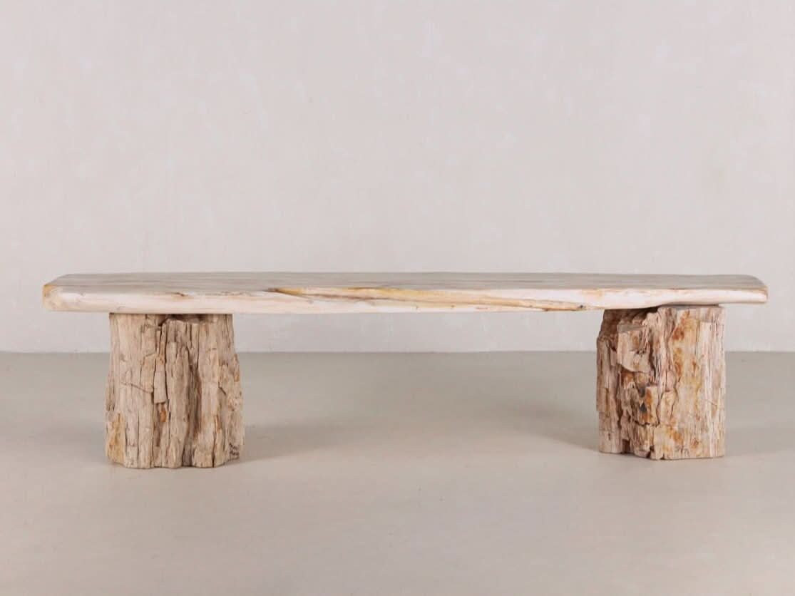 Petrified Wood Bench | One - of - a - kind - Cultheir