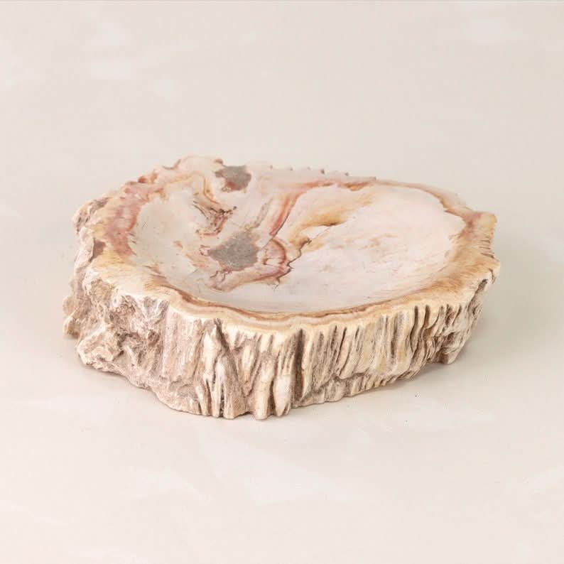 Petrified Wood Catchall Bowl | Decorative Bowl - Cultheir