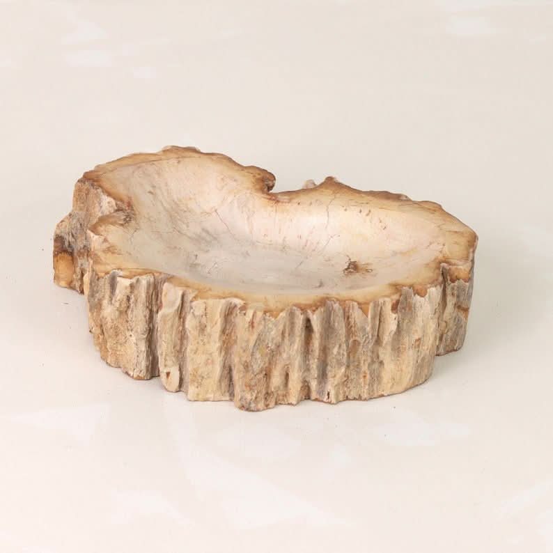 Petrified Wood Catchall Bowl | Decorative Bowl - Cultheir