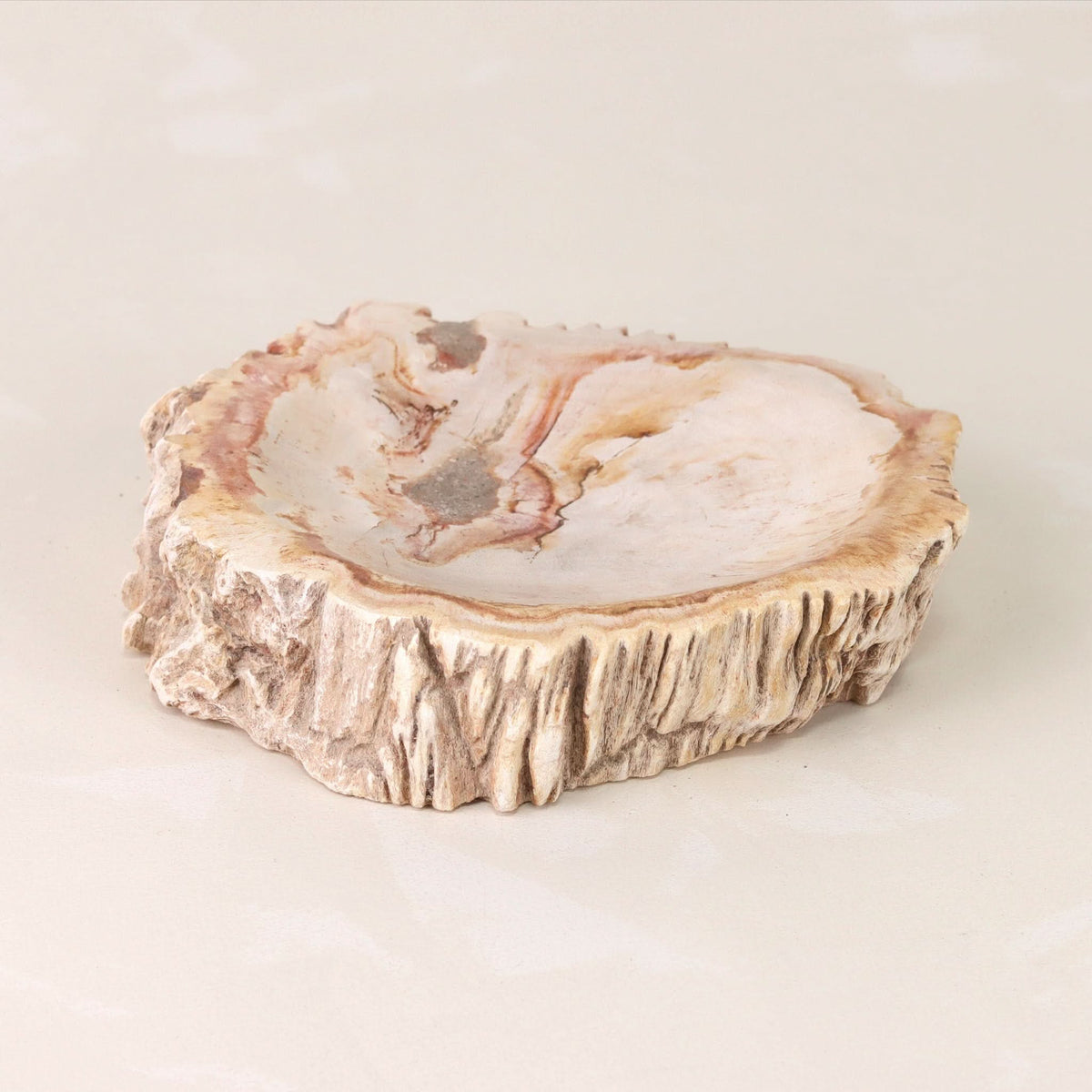 Petrified Wood Catchall Bowl | Decorative Bowl - Cultheir