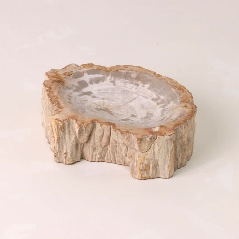 Petrified Wood Catchall Bowl | Decorative Bowl - Cultheir