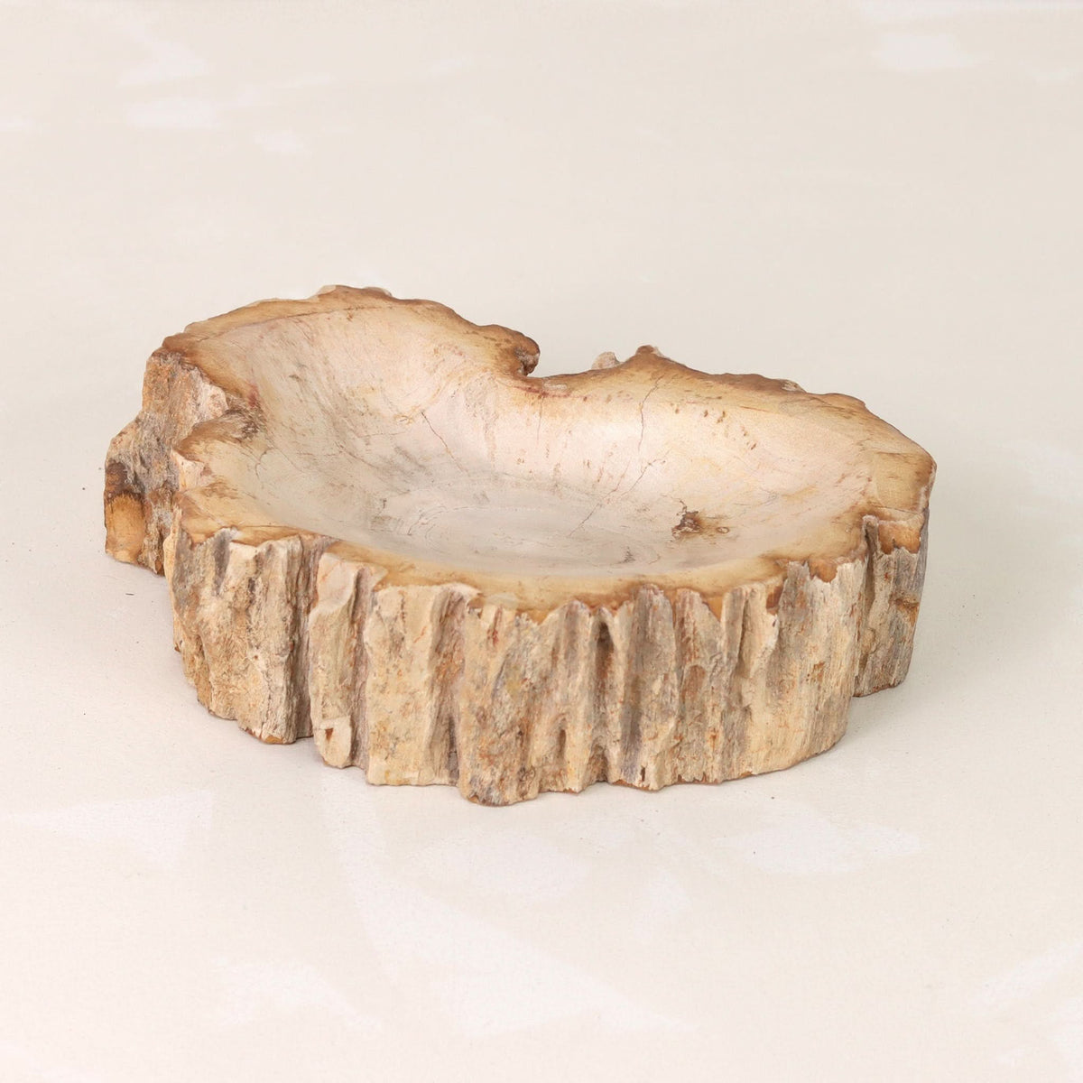 Petrified Wood Catchall Bowl | Decorative Bowl - Cultheir