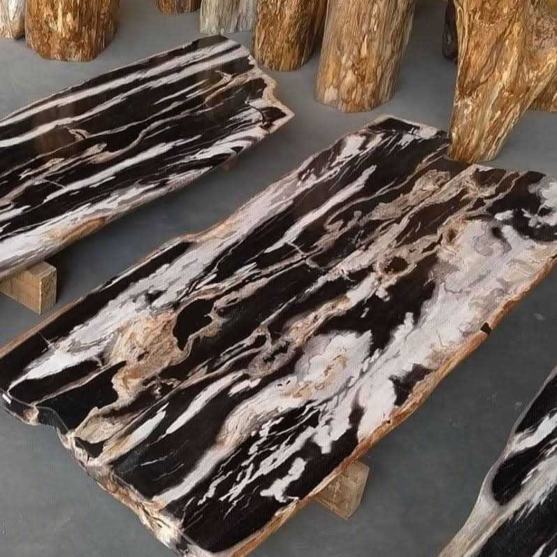 Petrified Wood & Onyx Table - Cultheir