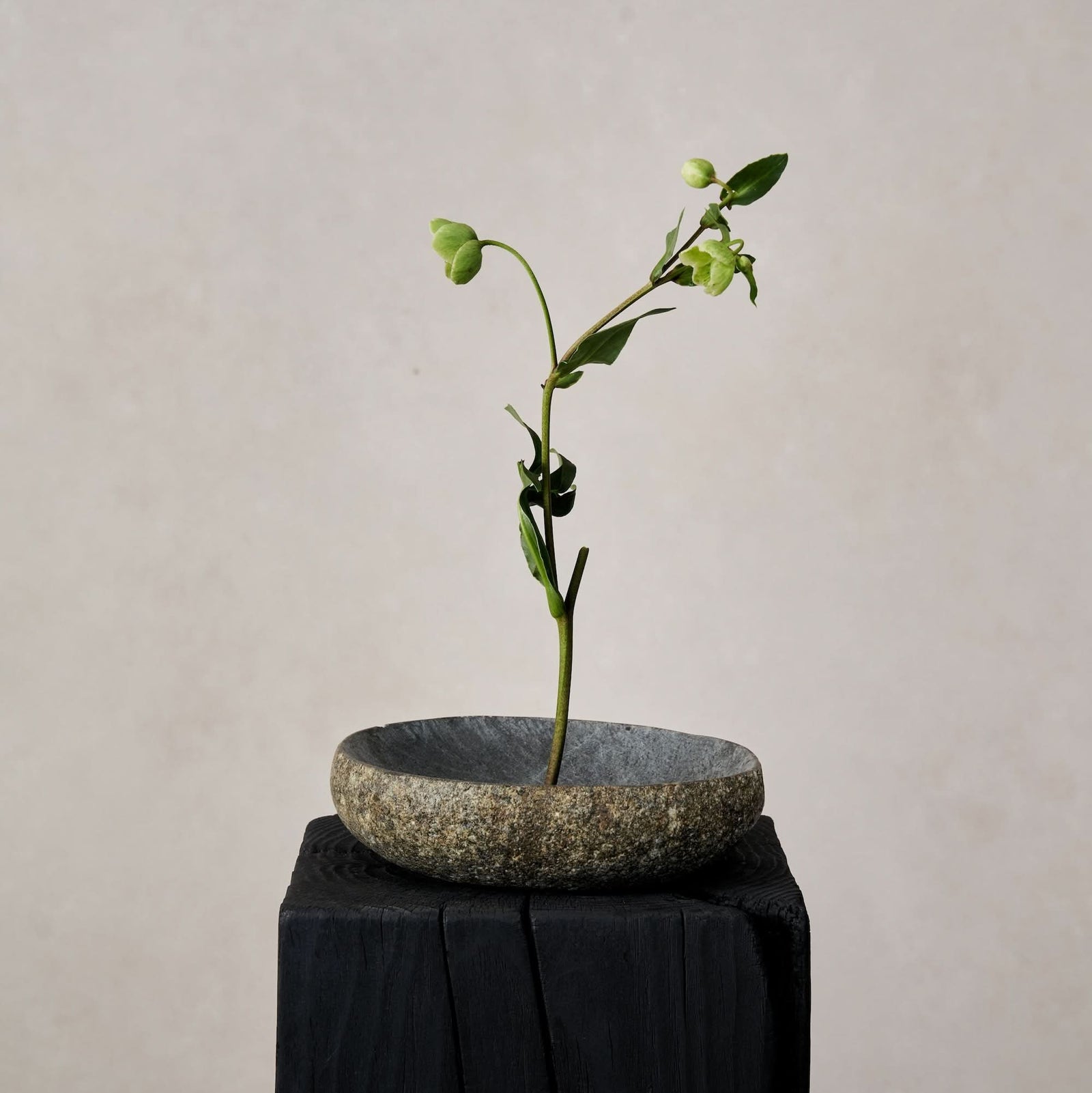 River Stone Bowl - Cultheir