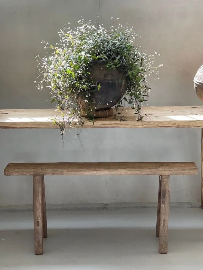 Skinny Elm Wood Bench - Cultheir